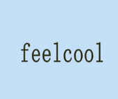 正鸿祥FEELCOOL  ice